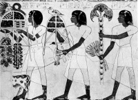 Слуги Себехотепа. Роспись из гробницы Себехотепа, XVII династия. Фивы. Короткие парики, туники с рукавами из легкой белой льняной ткани, набедренная повязка