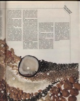 Платья бурда моден с 1994